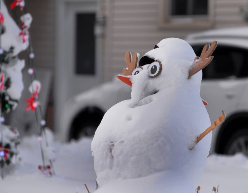 Snow creatures of many different shapes and sizes popped up in Mt. Morris on Saturday, Jan. 13, 2024 after Friday's winter storm dumped 10-12 inches of snow on the village.