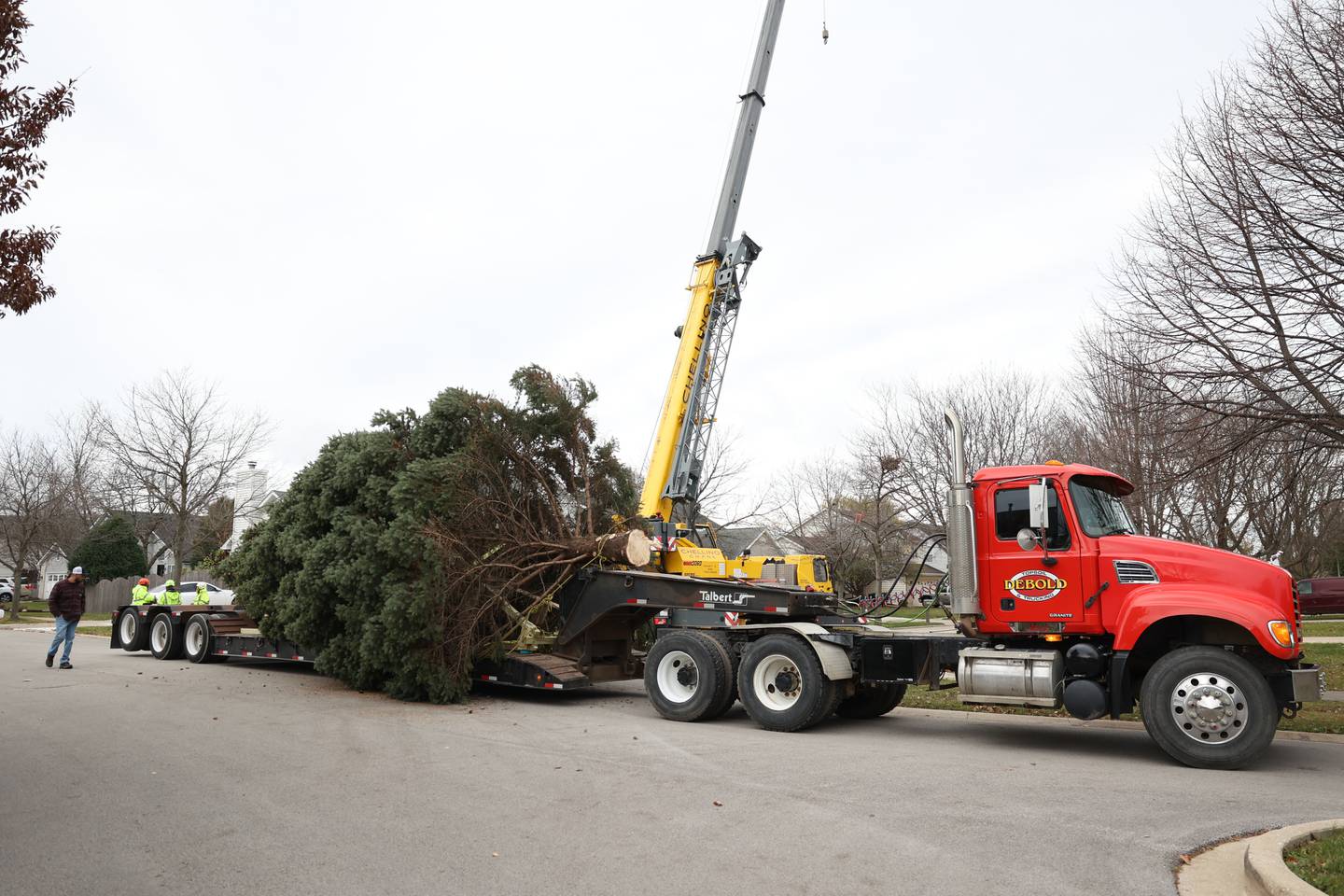 Joliet’s Christmas tree, chosen from a Plainfield resident, sits on a truck waiting to be taken to the City Center in Joliet on Friday.