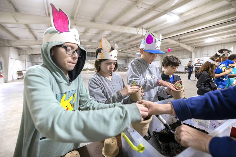Ashton-Franklin Center fifth graders plant tomatoes Friday, April 24, 2026, at the Lee County Fairgrounds. The kids will take home their plants and hopefully bring them in after harvest at the 4H fair.