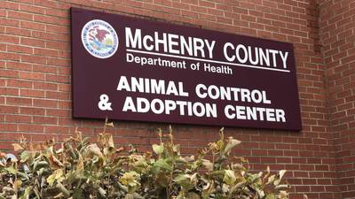 McHenry County Animal Control to hold low-cost rabies vaccine clinics