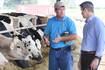 Photos: U.S. Congressman Adam Kinzinger visits Sycamore dairy farm