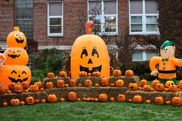 Glen Ellyn Park District unveils exciting fall events, six new activities