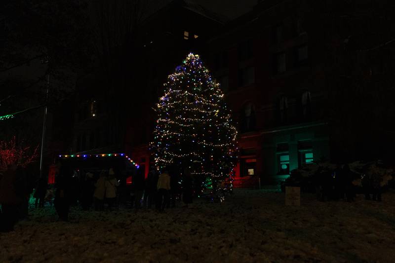 The tree is lit in downtown Geneva for the Annual Geneva Christmas Walk on Friday, Dec. 5, 2025 in Geneva.