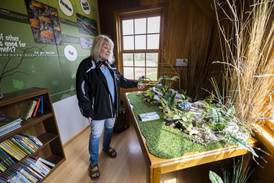 Deer and turtles and bears, oh my: Franklin Creek’s wildlife museum to be dedicated Saturday