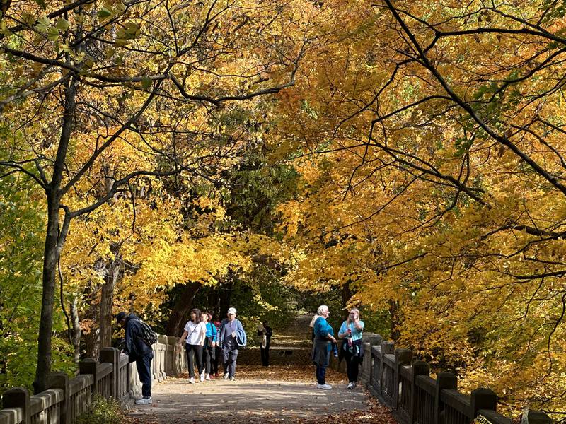 Tourists cross the bridge over the Lake Falls area at Matthiessen State Park on Monday, Oct. 23, 2023.