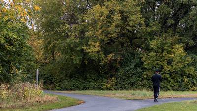 Prolonged warm weather delays peak fall colors across Illinois