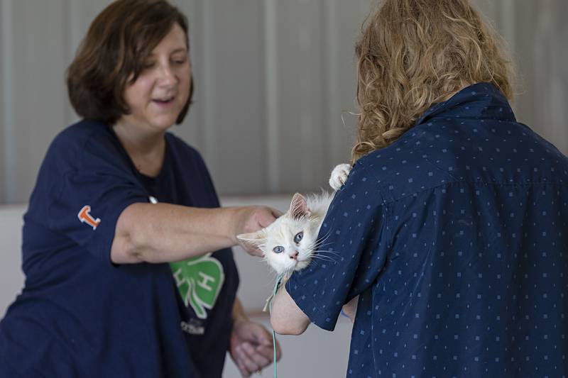 Martha Ebbesmeyer hands Viktor Miller and his cat Max a blue ribbon Friday, July 14, 2023 at the Whiteside County 4H fair in Morrison. Events kicked off Friday morning with lots of action taking place all day Saturday.