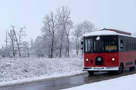Launch your new year with Winter Wildlife Trolley Tours