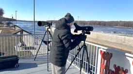 Eagles do not disappoint at 40th annual Bald Eagle Watch in Fulton