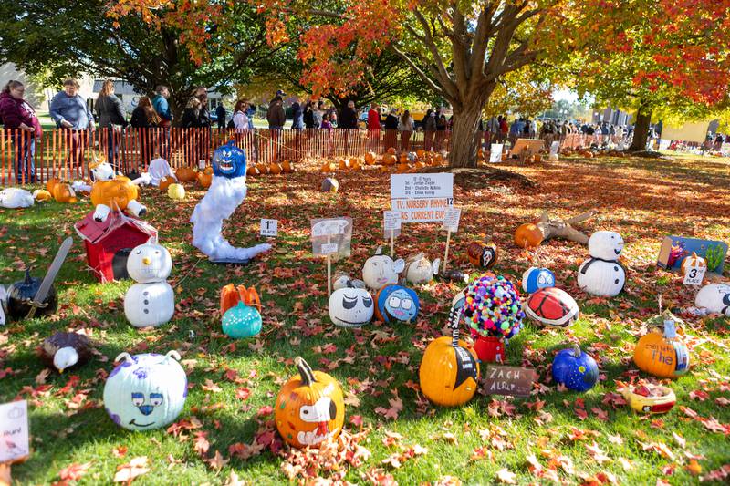 Pumpkin contest entries at the Sycamore Pumpkin Festival on Sunday Oct. 26,2025 in Sycamore.