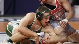 2026 Daily Journal All-Area wrestling team