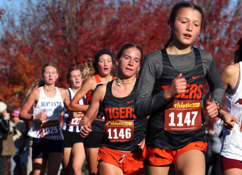Runners compete during a girls Class 2A Sectional Cross Country Meet at Emricson Park in Woodstock Saturday.