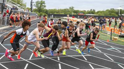 Herald-News area promises to be a factor at boys track state meet