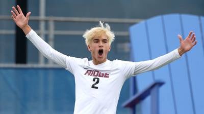Boys soccer: 2024 All-Fox Valley Conference team announced