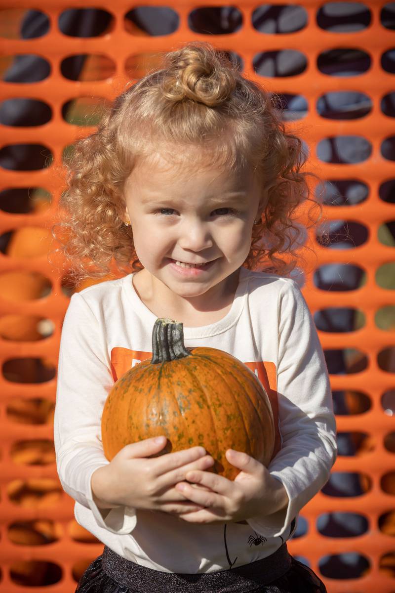 Nora Costello, 3, of Dixon smiles a as she holds her pumpkin.