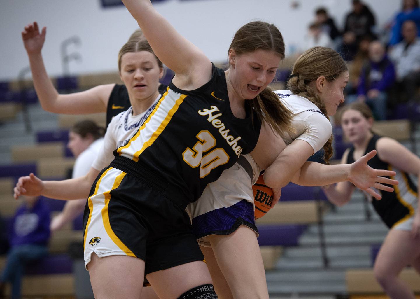 Herscher's Pippa Dunnill and Wilmington's Keeley Walsh, right, get tangled up on a rebound attempt in a game on Thursday, January 29, 2026.