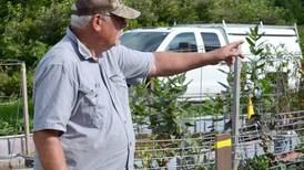 Prairie restoration takes root in Whiteside County