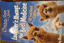 Former Cary-Grove teacher makes ‘Chicken Soup’ book appearance at Algonquin Barnes and Noble