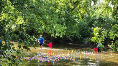 Fall brings festivals, live music to DeKalb County