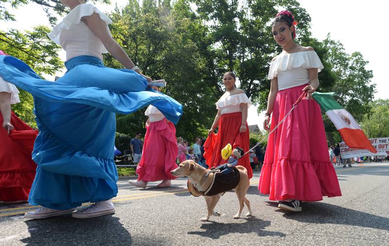 Chino and members of the Lyons Latin Dancers participate in the annual LaGrange Pet Parade Saturday May 31, 2025.