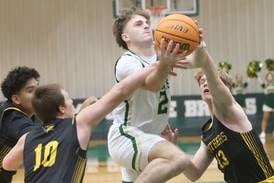 Photos: St. Bede vs. Putnam County boys basketball in the Class 1A Regional