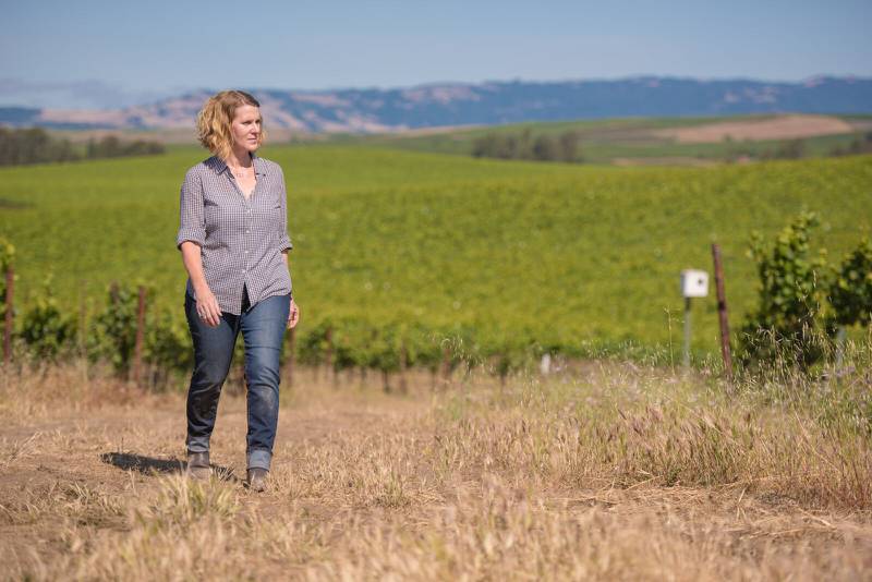 Winemaker Chris Kajani In Vineyard, Bouchaine