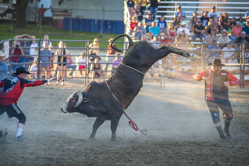 The Next Level Bull Riding crew looks to tame a bucking bull after it had shed its rider Tuesday, August 16, 2022 at the fair in Morrison.