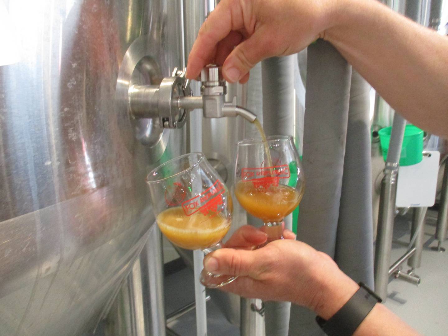 Brewmaster Ken McMullen pours out samples of Fox Republic Brewing's West Coast IPA directly from a fermentation tank on July 28, 2023.