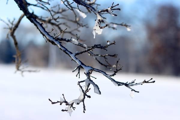 Freezing rain Tuesday night, dangerous snow bursts Wednesday: What to expect