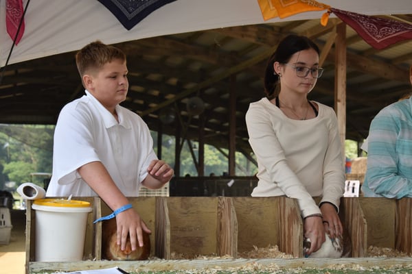 Ogle County 4-H Fair Rabbit Show winners announced