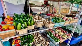 Underwood introduces bills to expand ways Illinois farmers can sell directly to consumers