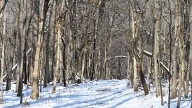 5 Things to Do: First Day Hike, Emo Night Live in Yorkville this weekend