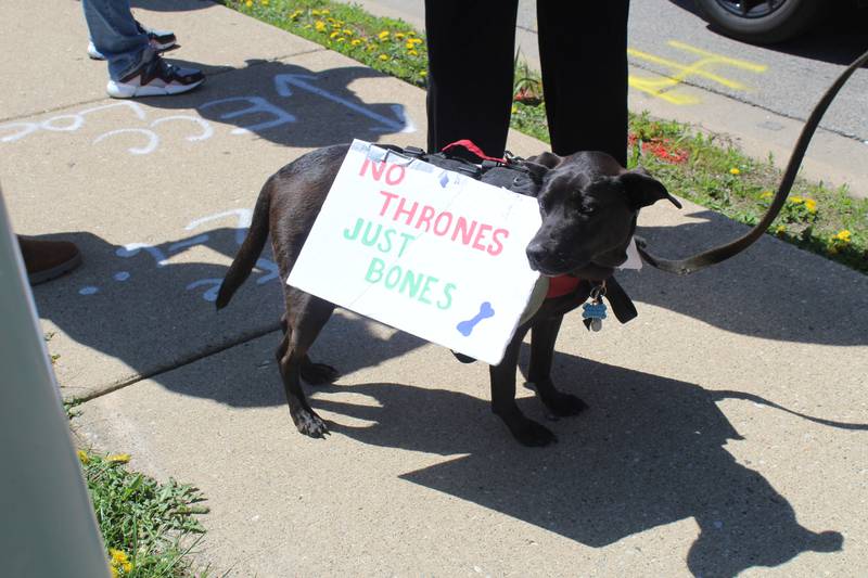 A protester brings their dog equipped with a sign that reads "No thrones, just bones" during the "Communities Not Cages" rally on April 25, 2026, in McHenry.