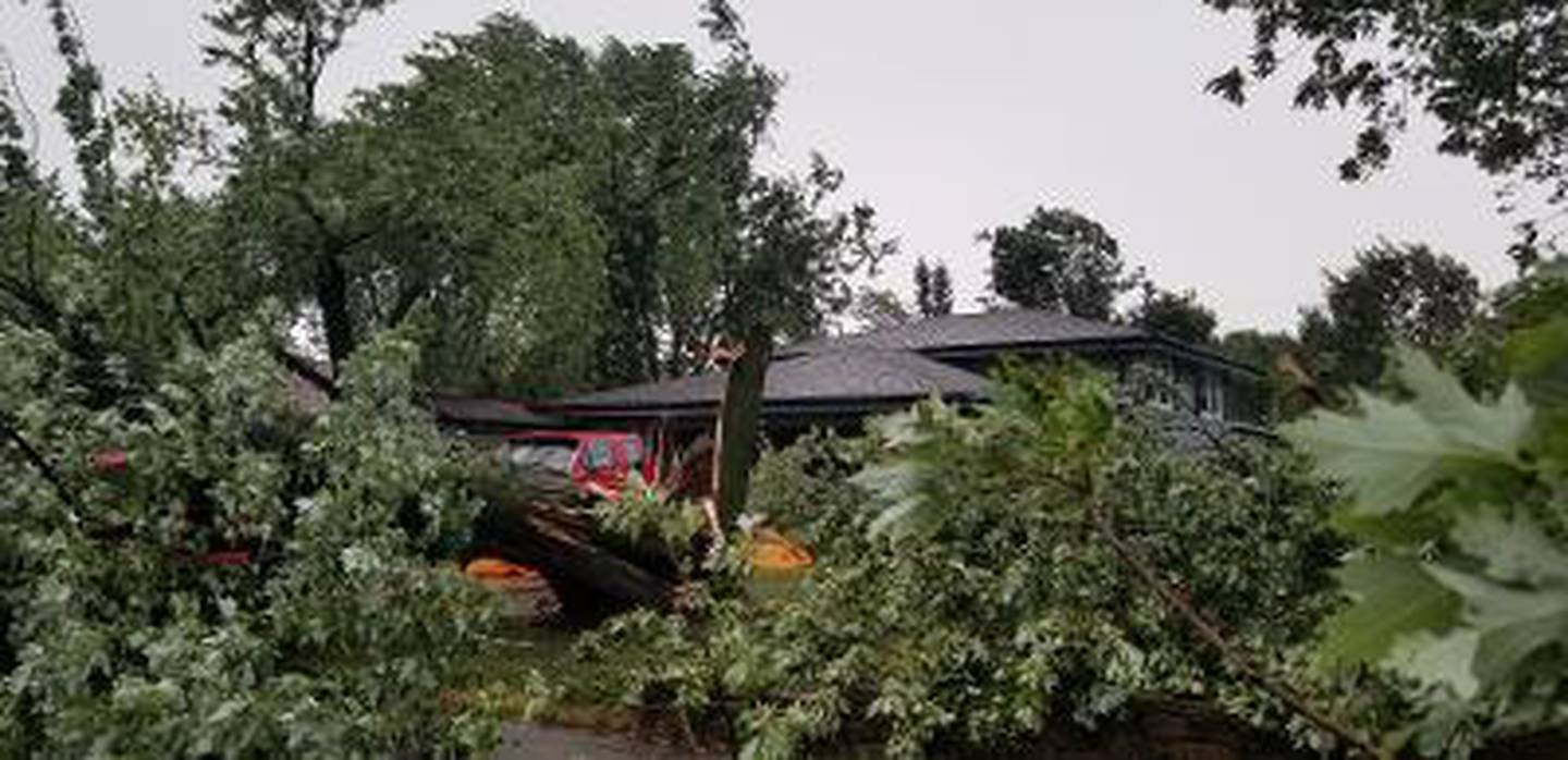 Joliet 2020 derecho
