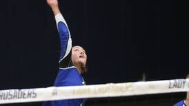 Heather Buhle sparks Newark volleyball to sweep of Marquette
