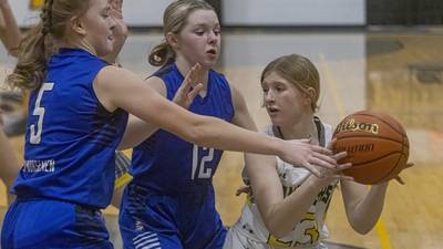 Girls basketball: Newark takes control early, beats Putnam County for regional title