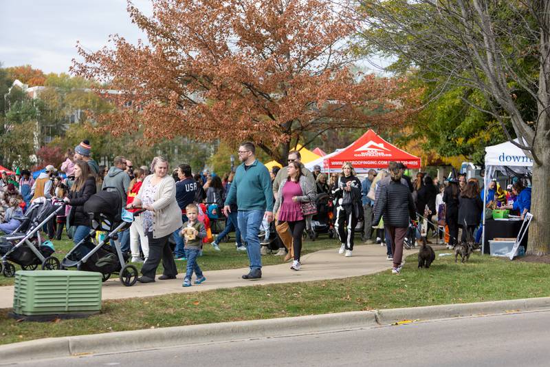 Locals fill the park and downtown area for BatFest on Saturday, Oct. 25, 2025, in Batavia.