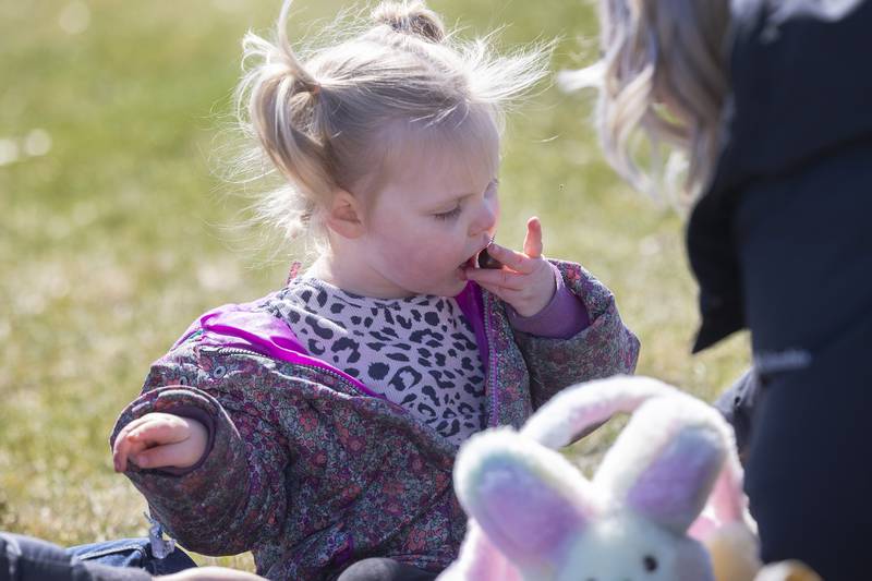 Holden Seidel, 3, pops a piece of chocolate in her mouth Saturday, March 23, 2024 while counting up her bounty with parents Tanner and Ariel at the Sterling Park District Egg Hunt.