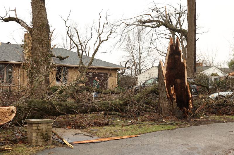 A resident takes in damage to her front yard on Oakwood Drive in Aroma Park  on March 11, 2026 following a March 10 tornado that passed through Kankakee County.