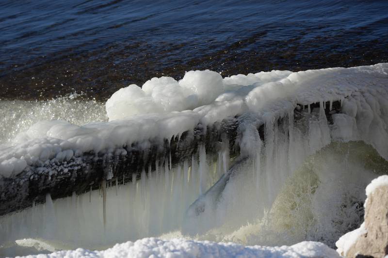 Ice forms on a tree trunk in the Rock River at the Oregon dam on Tuesday, Jan. 14, 2025. The cold temperatures are forecast to last through the week.