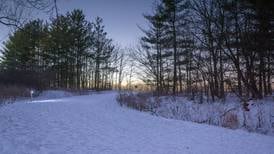 Explore preserves after dark on illuminated trails 