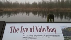 ‘Delayed far too long’: Volo Bog natural area among state sites targeted for improvements