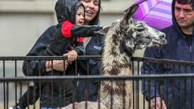 Kidz Fest highlights Joliet’s downtown for families