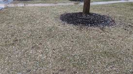 Thunderstorm watch for Grundy and Kendall counties