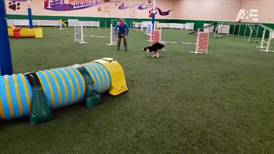 McHenry woman and dog to be featured on A&E show ‘America’s Top Dog’