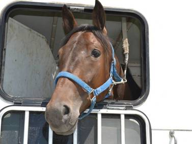Agreement between solar farm and Yorkville horse trainer in Yorkville moves 20-acre project forward