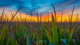 Illinois farmers ease critical labor shortages through this agricultural visa program