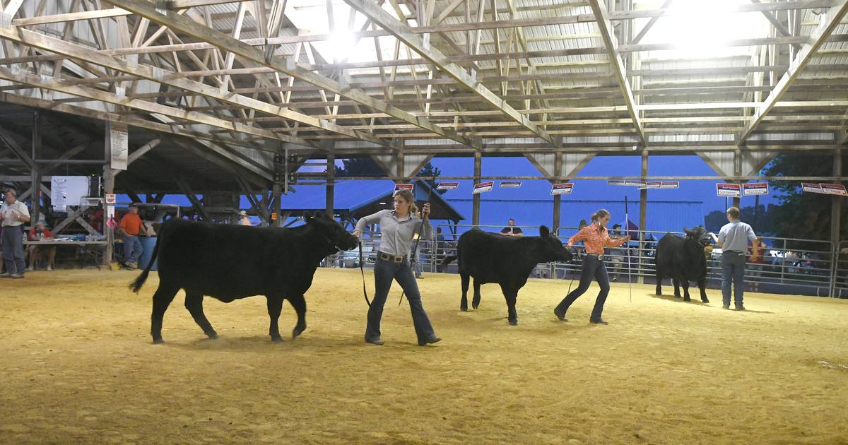PHOTOS Ogle County Fair Shaw Local
