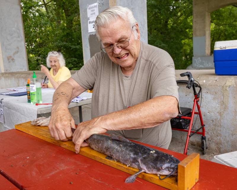 Tournament Judge Kenneth Bland measures a catfish caught by one of the kids participating in the 38th Annual Kid's Free Fishing Tournament on June 7, 2025 at Lock 14 in La Salle.