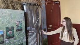 Work nearing completion on Kendall County forest preserve  projects